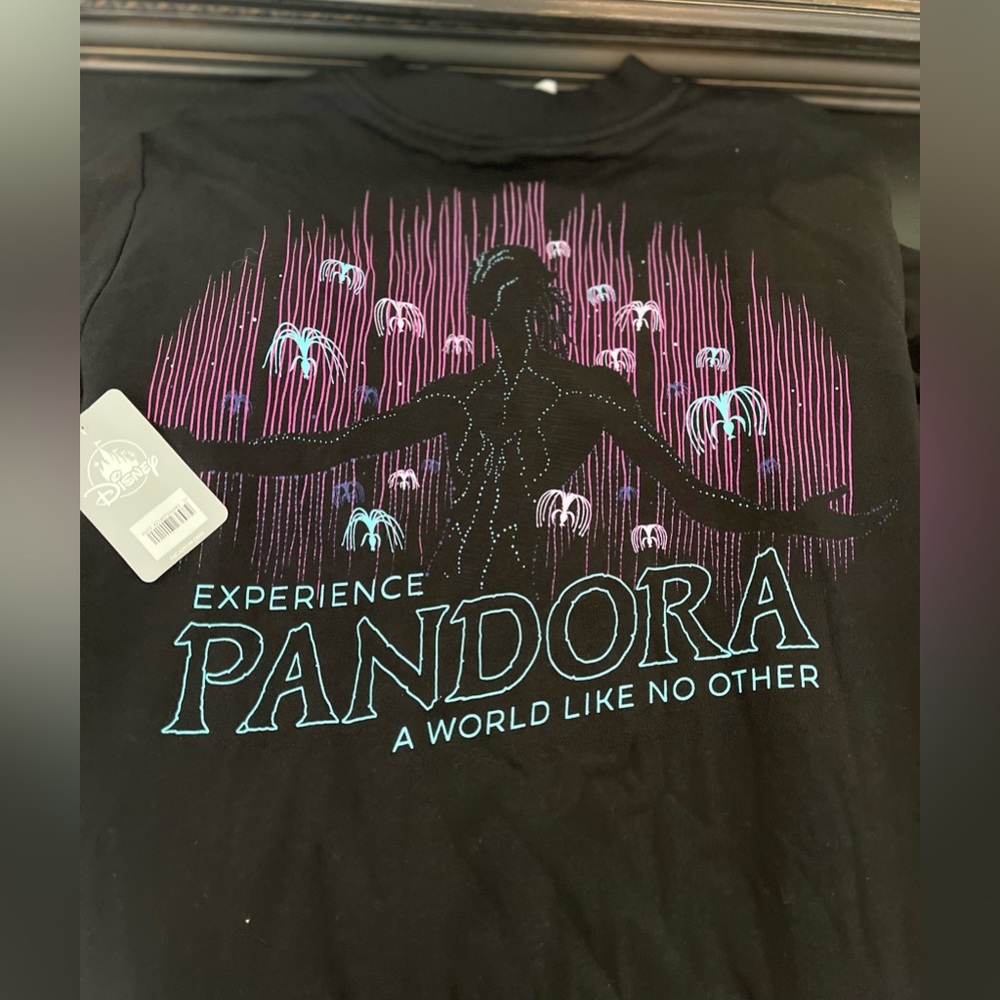 NWT - Disney Pandora Sweatshirt